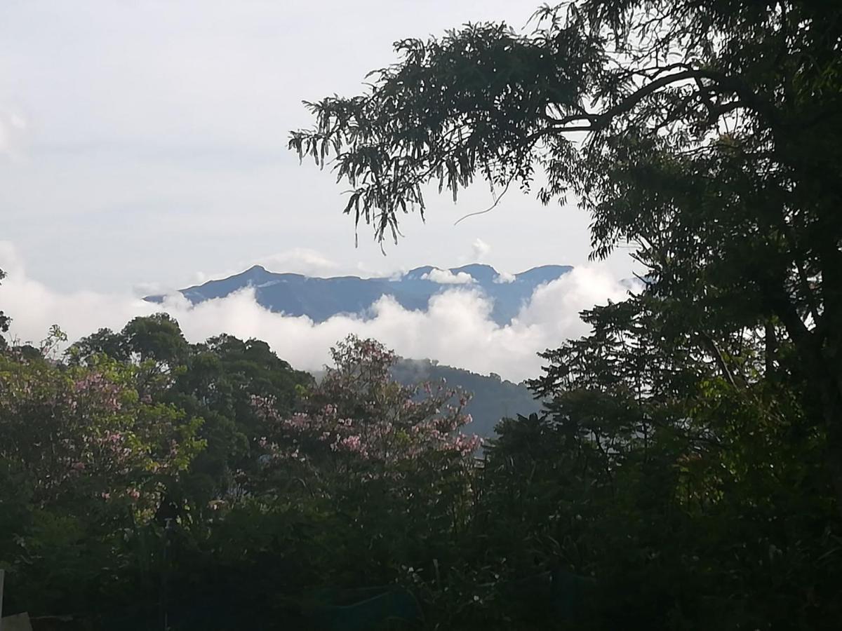 Bed and Breakfast Jungle Tide Kandy Exterior foto