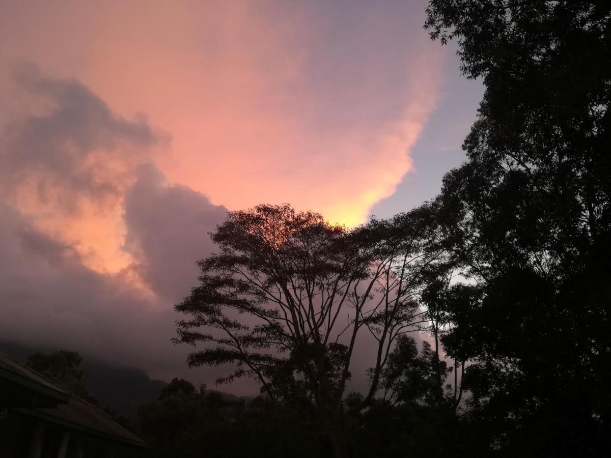 Bed and Breakfast Jungle Tide Kandy Exterior foto