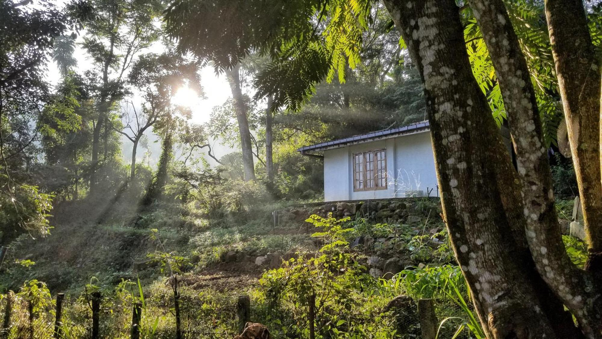Bed and Breakfast Jungle Tide Kandy Exterior foto